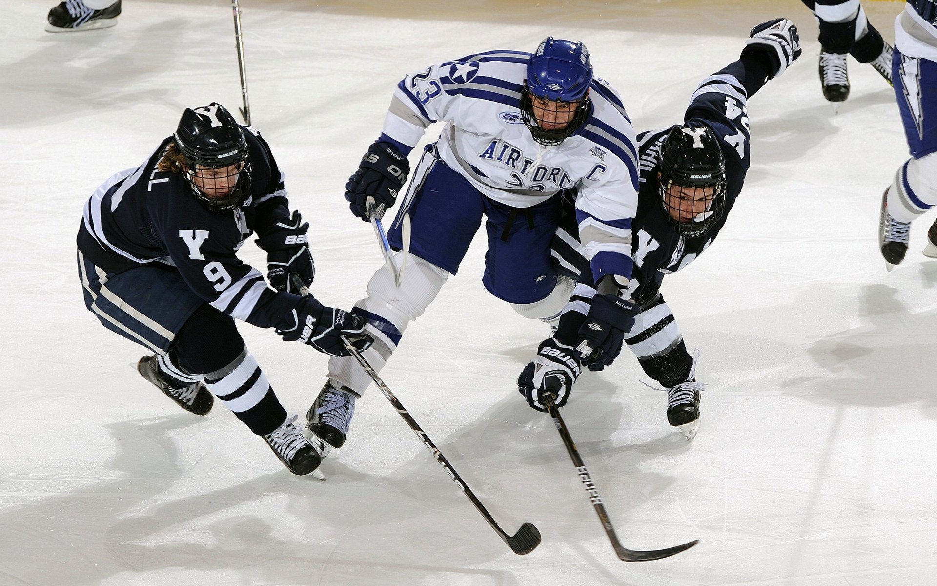跨界王者，从黄蜂淘汰开拓者到福克斯欧冠接管，淘汰赛的唯一真理