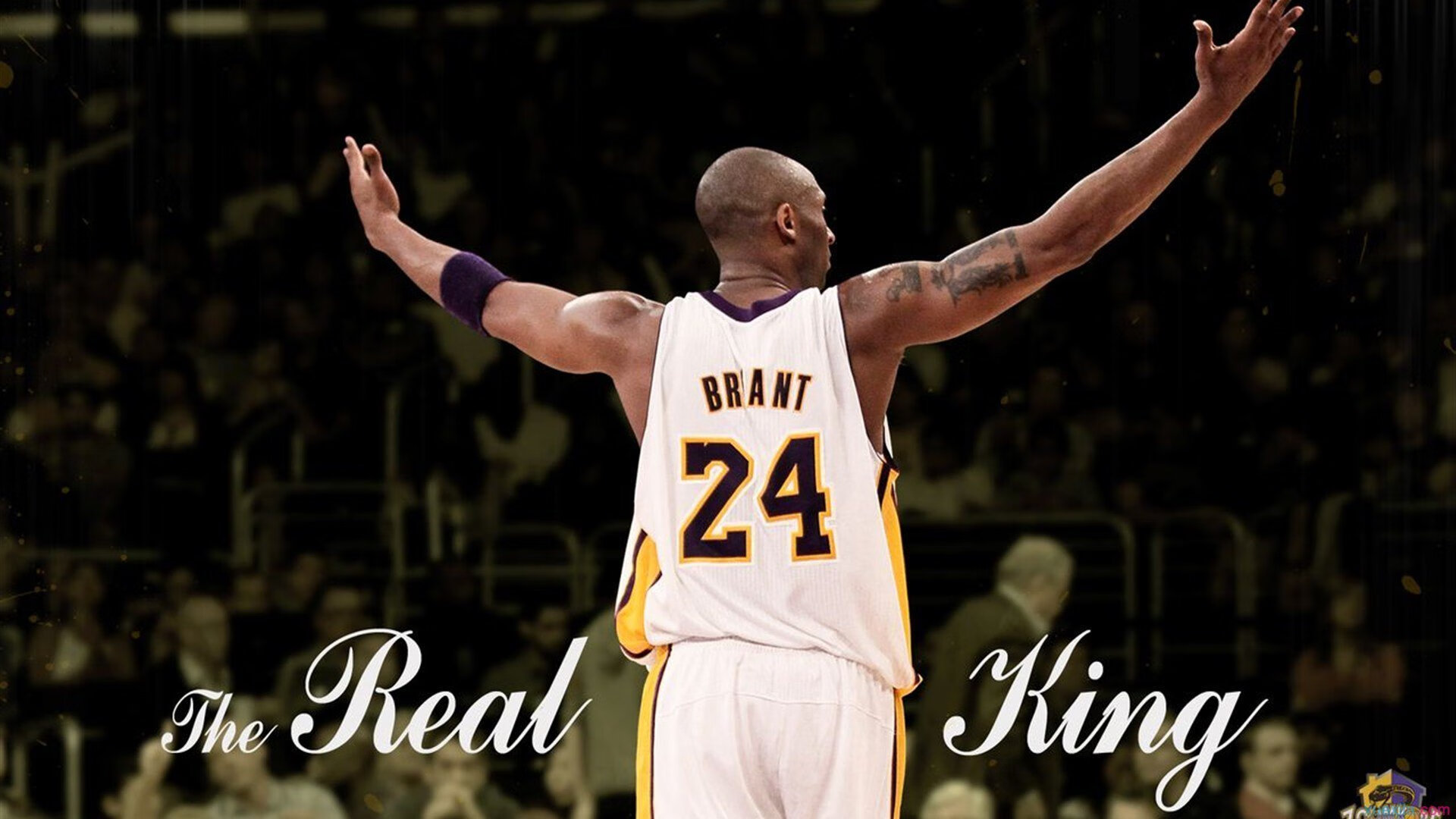 鹈鹕鏖战福建队，易建联关键制胜